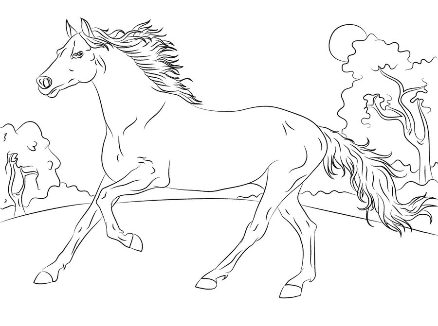 Kolorowanka biegnący koń przez łąkę